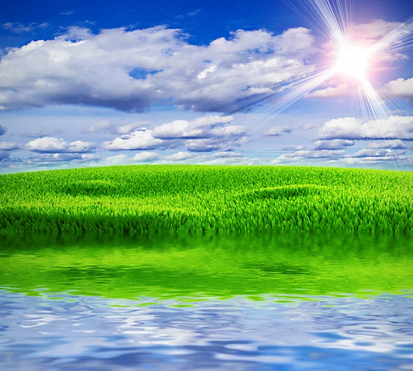 아름 다운 자연 클립 아트 — 스톡 사진