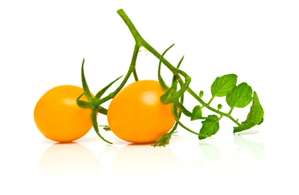 Tomates jaunes parfaites 4 — Photo