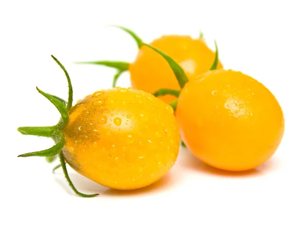 Perfekte gelbe Tomaten — Stockfoto