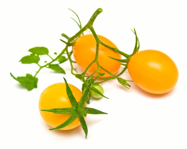 Tomates amarelos perfeitos 3 — Fotografia de Stock