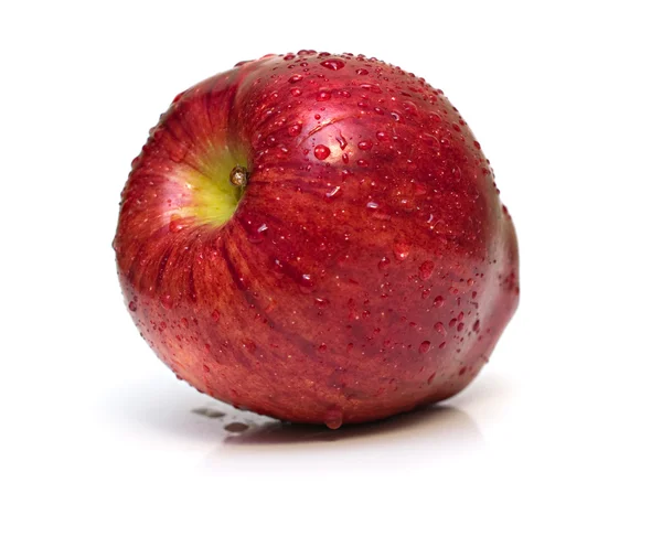 Manzana roja madura húmeda —  Fotos de Stock