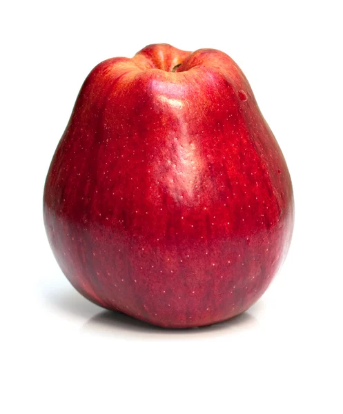 Bästa rött äpple — Stockfoto