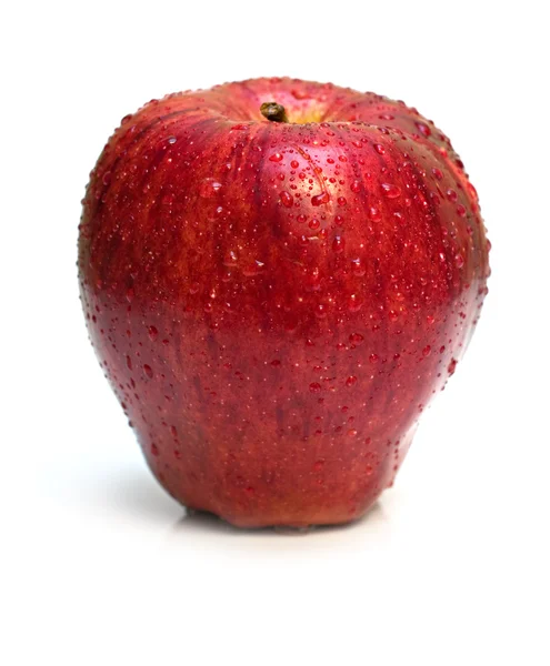 Mokre czerwone jabłko na białym — Zdjęcie stockowe
