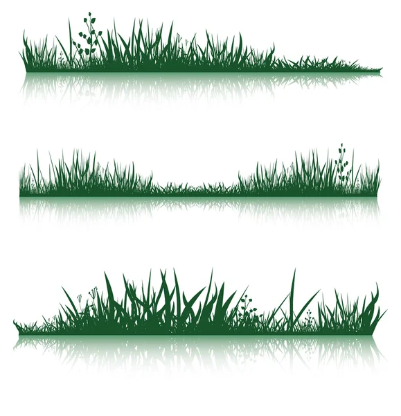 Green grass with reflection — Stock Vector