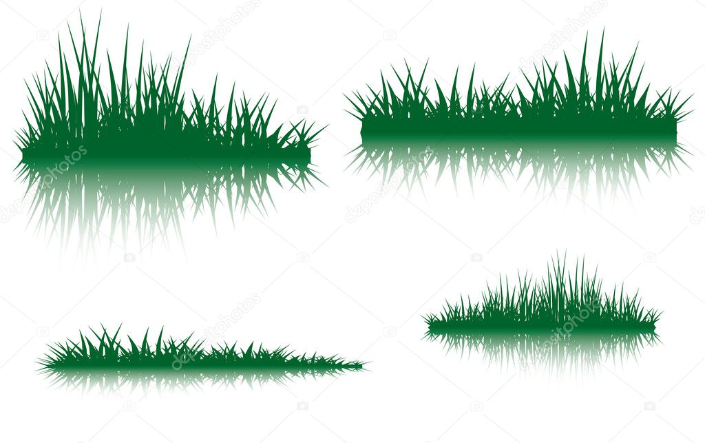 Green grass with the reflection