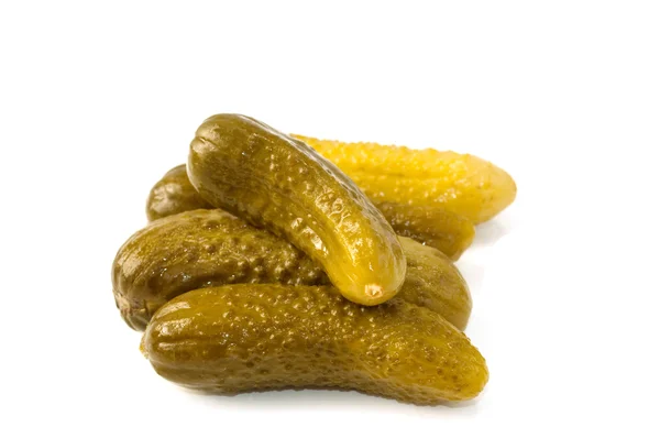 stock image Pickle