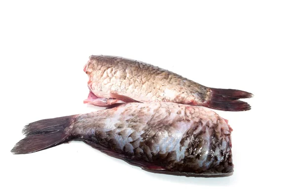 Peixe fresco — Fotografia de Stock