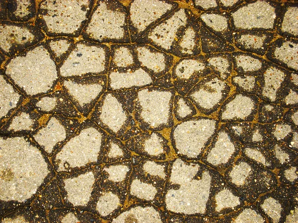 Cracked wet asphault — Stock Photo, Image
