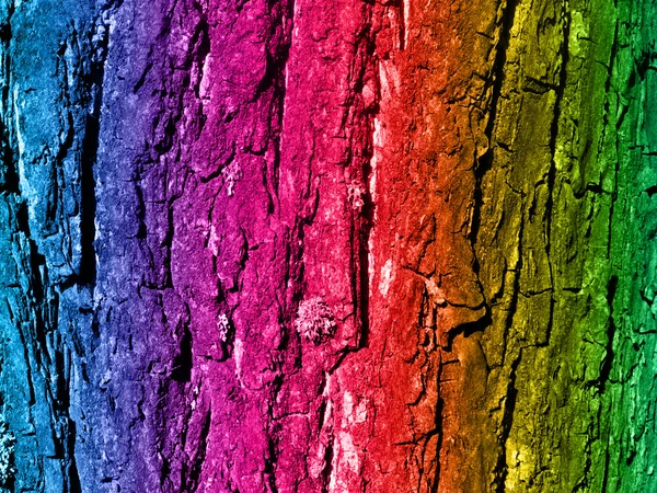 Painted wooden bark — Stock Photo, Image