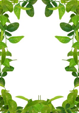 Green leaves frame - similar images avai clipart