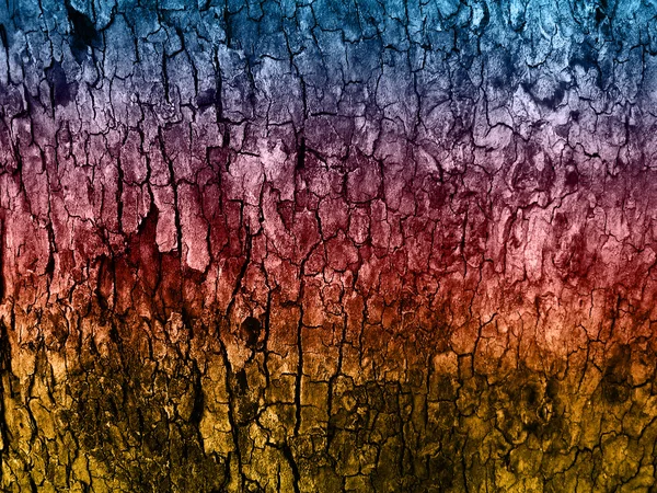 Multicolor bark fundo — Fotografia de Stock