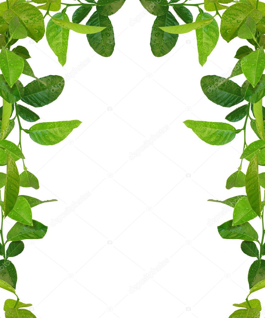 Green leaves frame - similar images avai