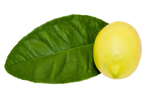 Cepillo de limón aislado en blanco —  Fotos de Stock