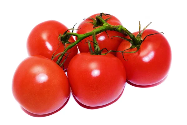 Välsmakande tomat gäng — Stockfoto