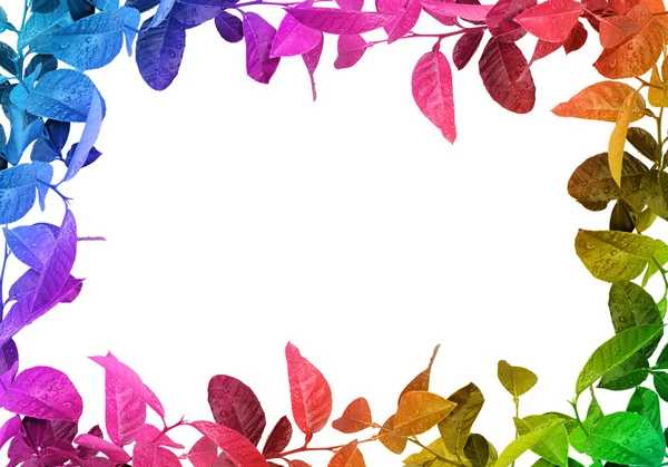 stock image Creative leaves frame