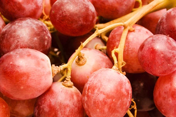 Red grape background — Stock Photo, Image