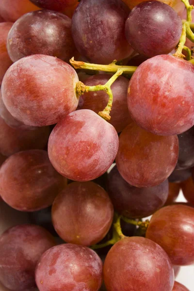 Juicy grape background — Stock Photo, Image