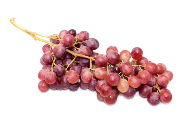 Bir demet kırmızı üzüm beyaz bitti izole — Stok fotoğraf