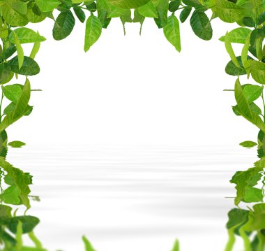 Green leaves frame clipart