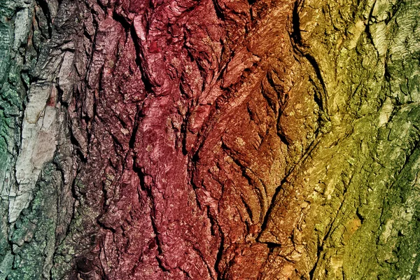 Natural colored bark background — Stock Photo, Image