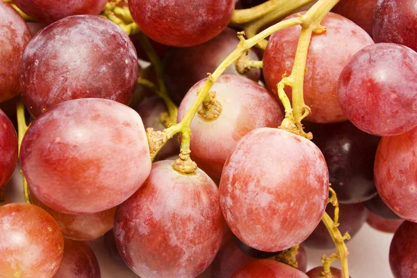 Juicy grape background — Stock Photo, Image