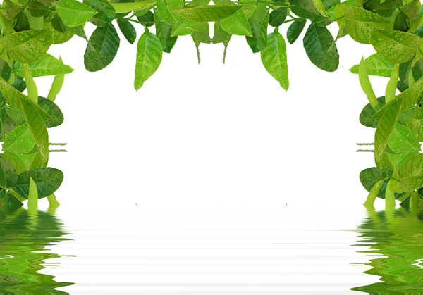 Groen water symmethry frame — Stockfoto