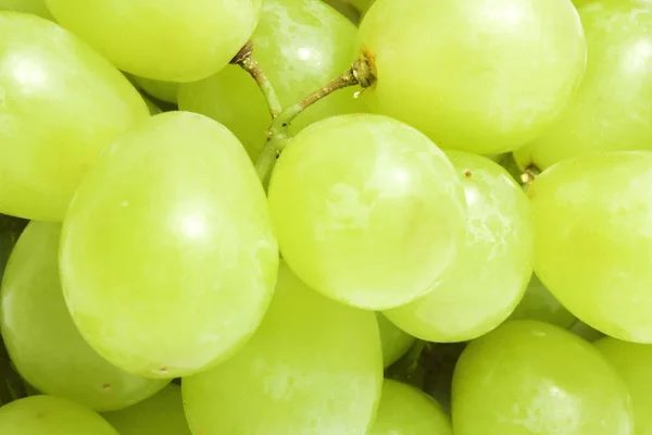 Juicy green grape background — Stock Photo, Image