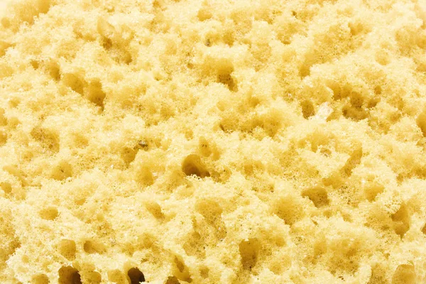 Yellow sponge background — Stock Photo, Image