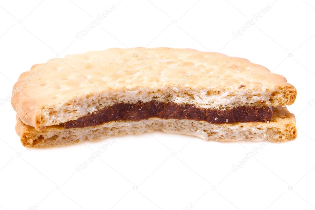 A piece of tasty chocolate biscuit