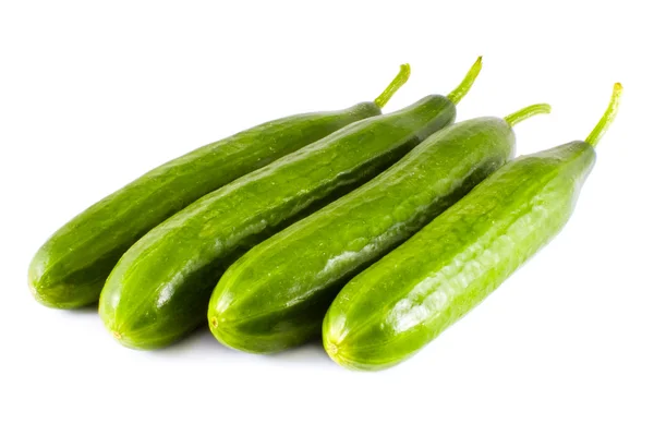 Four cucumbers isolated over white — Stock Photo, Image