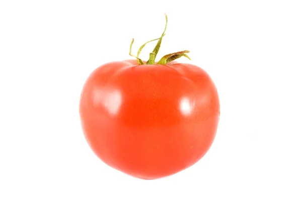 Tomato isolated over white — Stock Photo, Image