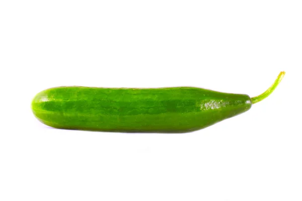Cucumber isolated over white — Stock Photo, Image