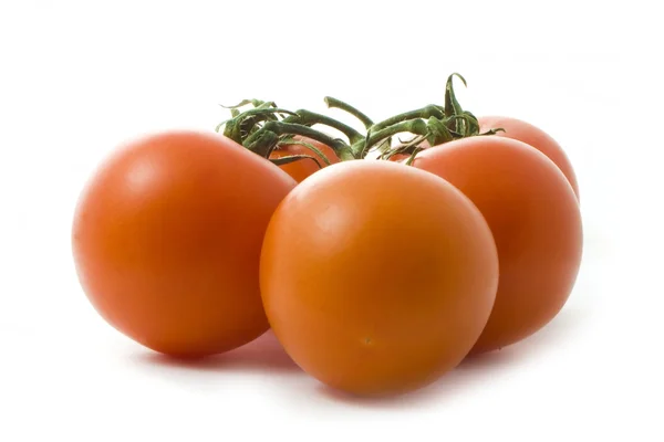 Tasty tomatoes isolated over white — Stockfoto