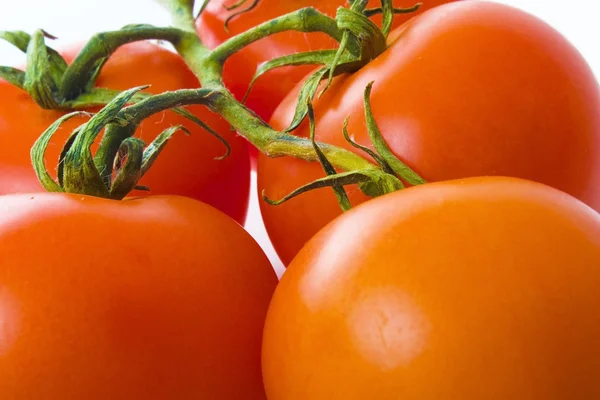 Fondo de tomate — Foto de Stock