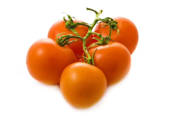 Smakelijke tomaten geïsoleerd over Wit — Stockfoto