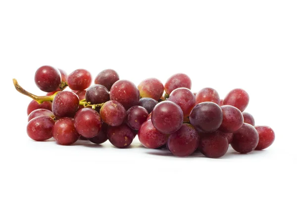 Banda červené hroznové víno — Stock fotografie