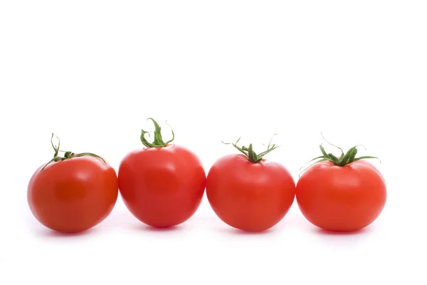 Cuatro tomates — Foto de Stock