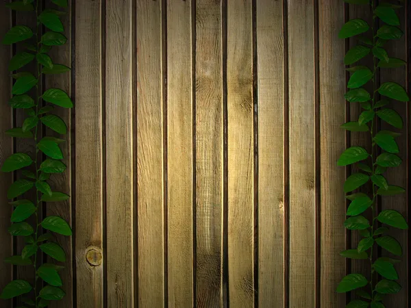 Prachtige kruiden en houten achtergrond — Stockfoto