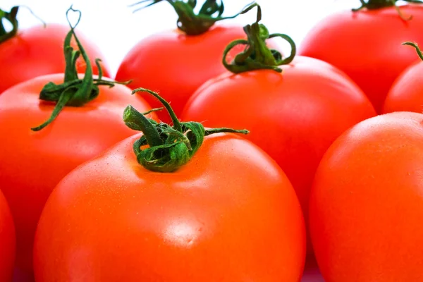 Fundo de tomate — Fotografia de Stock