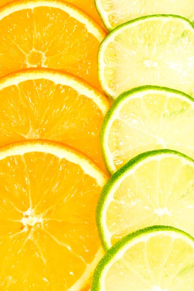 Contexto dos citrinos — Fotografia de Stock