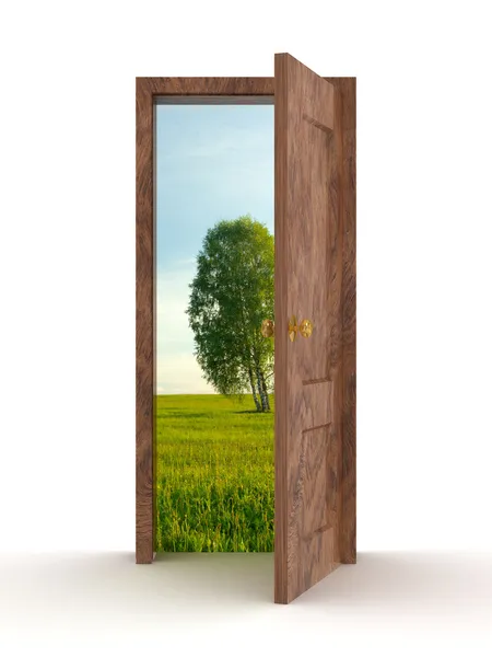 Landscape behind the open door — Stock Photo, Image