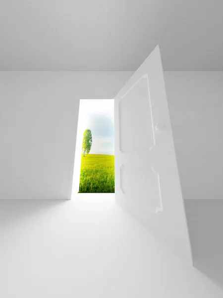 Paisaje detrás de la puerta abierta. Imagen 3D — Foto de Stock