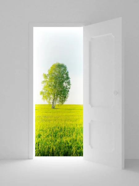 Пейзаж за открытой дверью — стоковое фото