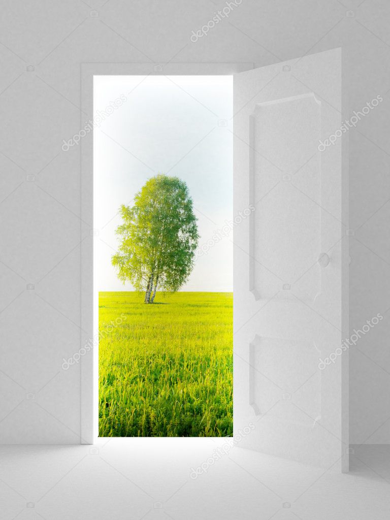 Landscape behind the open door