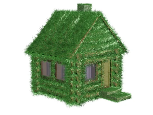 Kleine groene huis bedekt met een gras — Stockfoto
