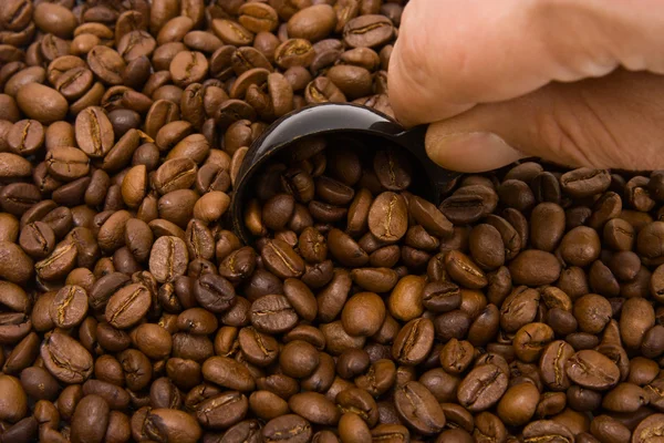 stock image Roasted grains of fragrant black coffee