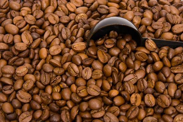 stock image Roasted grains of fragrant black coffee