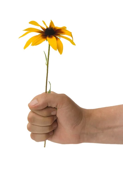 stock image Stretched hand with a flower