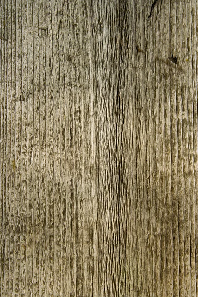 Texture from an old board — Stock Photo, Image