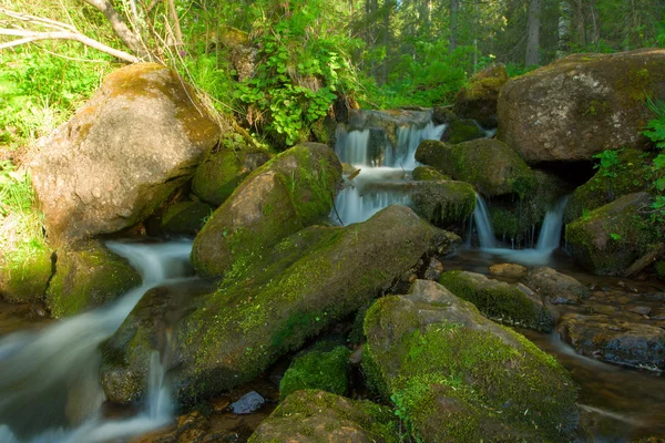 森の中の小さな滝。風景. — ストック写真